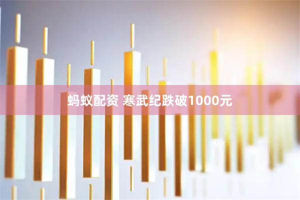 蚂蚁配资 寒武纪跌破1000元